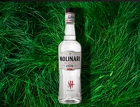 Ликер "Sambuca"