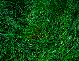 Монстер Шейк Банан