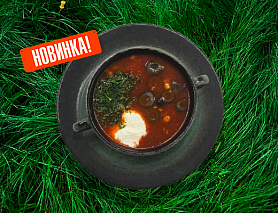Солянка сборная